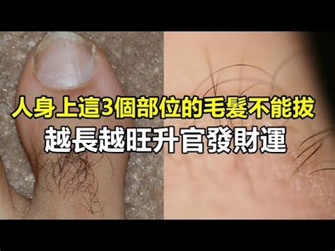 胸前長白毛|陰部長出白毛...我得到性病了嗎？ 醫生：千萬別拔！